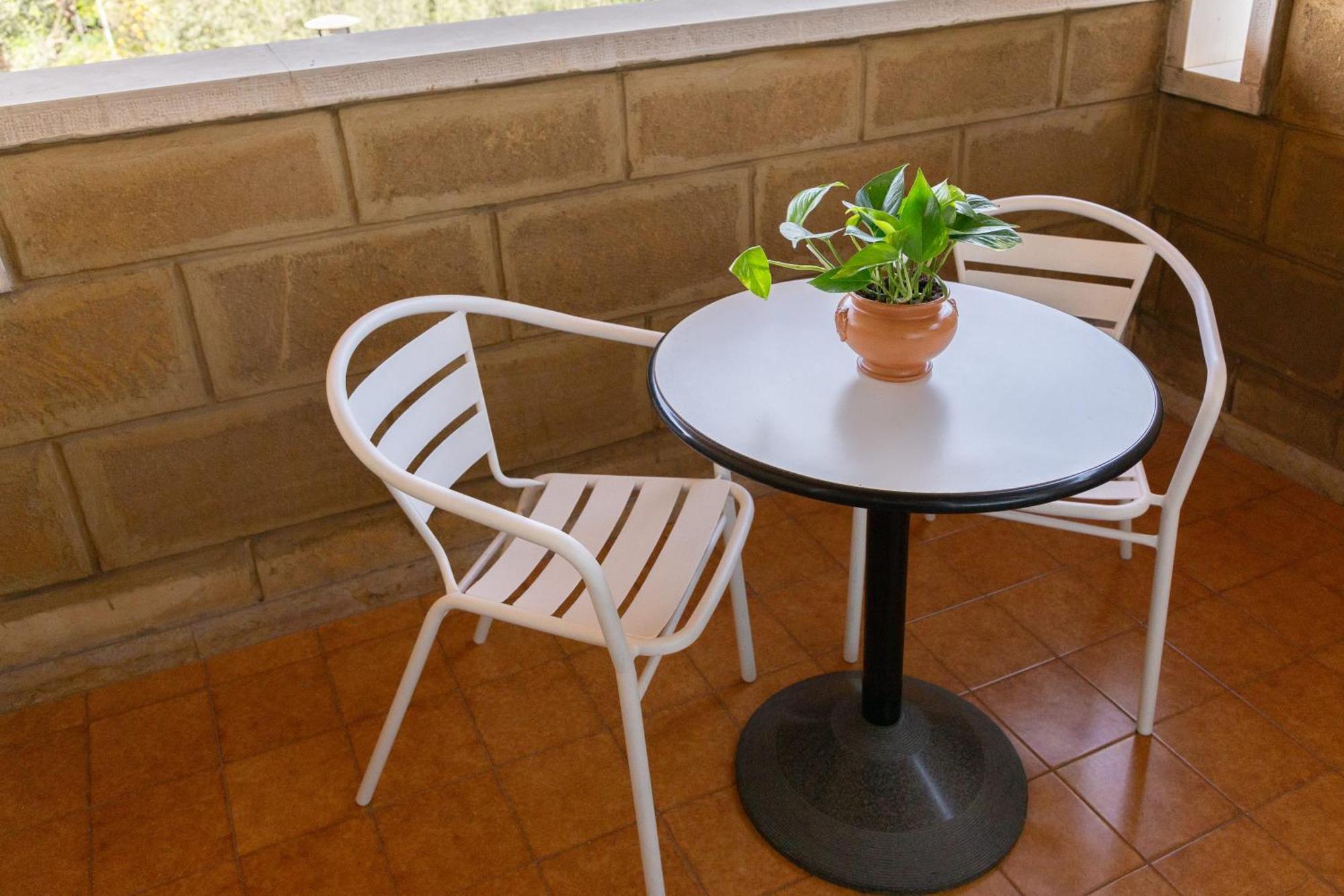 B&B Le Foglie D'Ulivo Bari Exterior photo