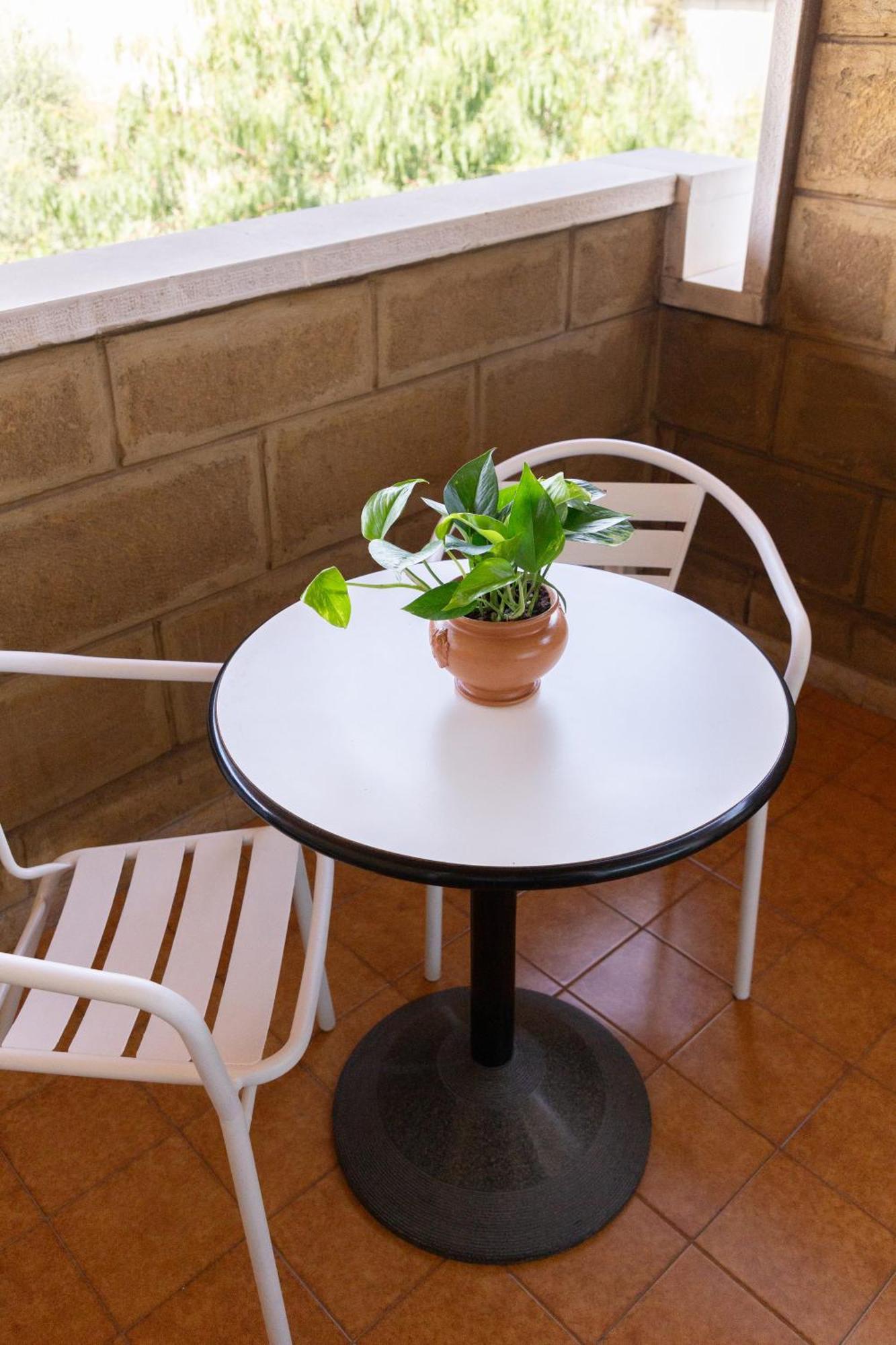 B&B Le Foglie D'Ulivo Bari Exterior photo